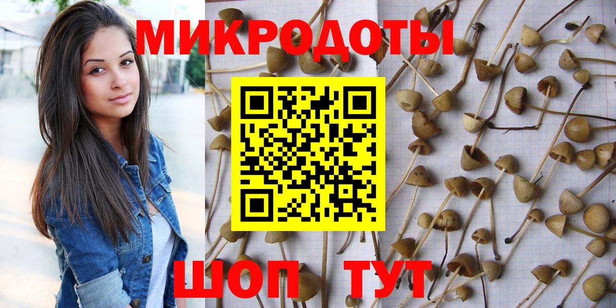 Псилоцибиновые грибы мицелий  Вход с VPN  Воркута 